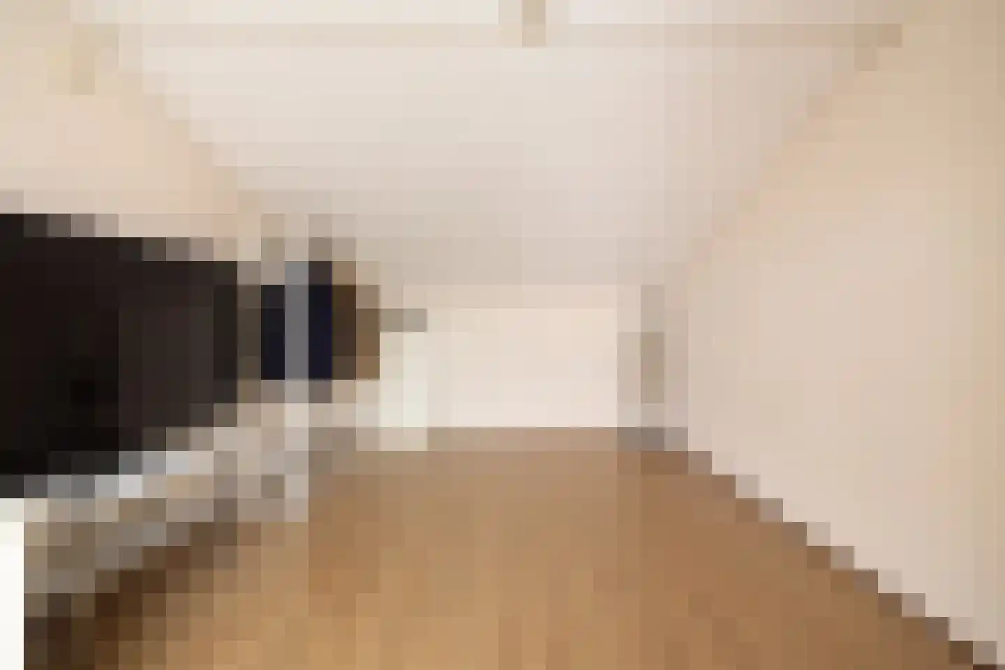 Pesetalaan 37 Amsterdam thumbnail 31