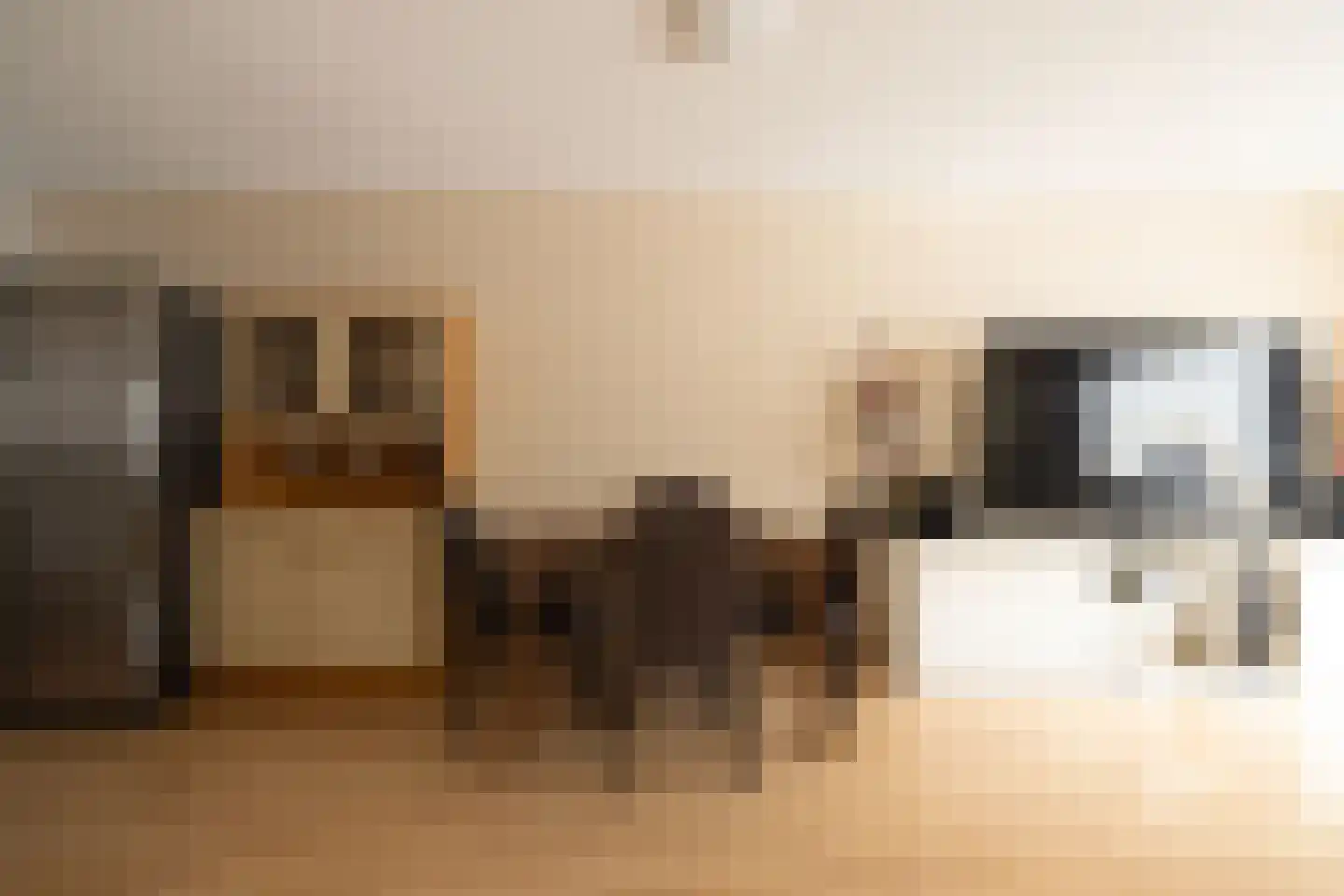 Pesetalaan 37 Amsterdam thumbnail 8