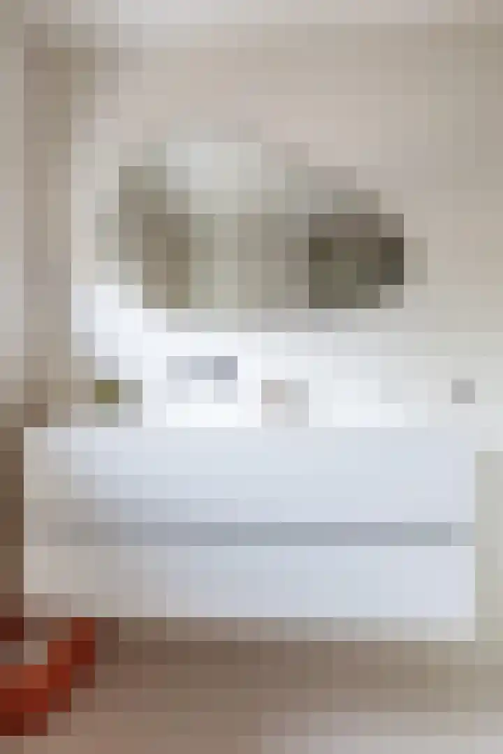 Pesetalaan 4 Amsterdam thumbnail 20
