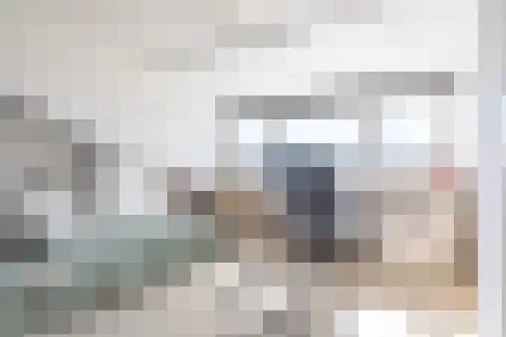Pesetalaan 4 Amsterdam thumbnail 24