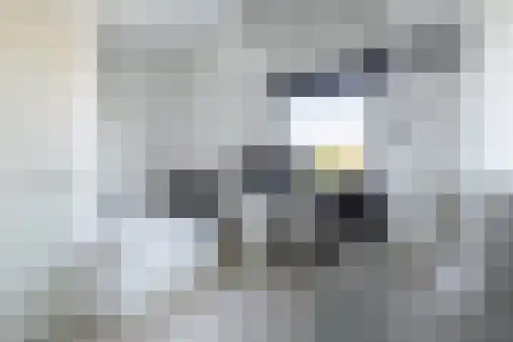 Pesetalaan 4 Amsterdam thumbnail 27