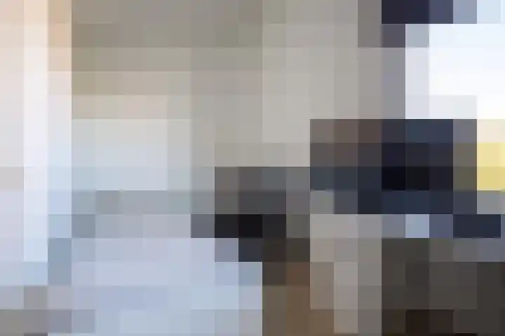 Pesetalaan 4 Amsterdam thumbnail 28