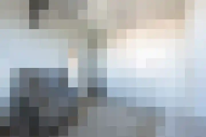 Pesetalaan 4 Amsterdam thumbnail 29
