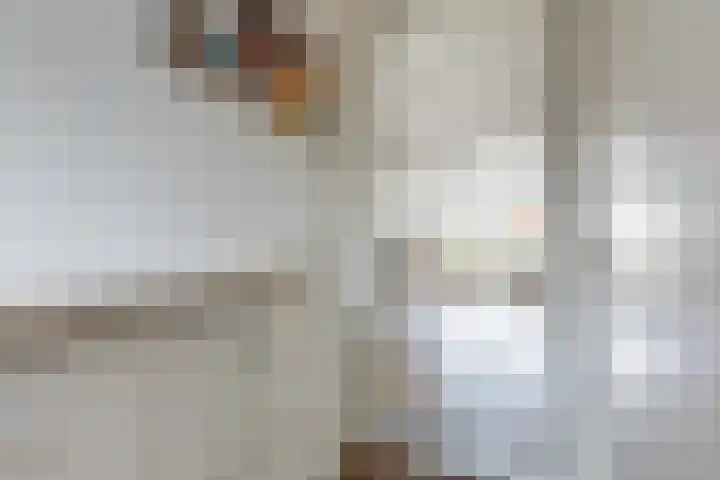 Pesetalaan 4 Amsterdam thumbnail 32
