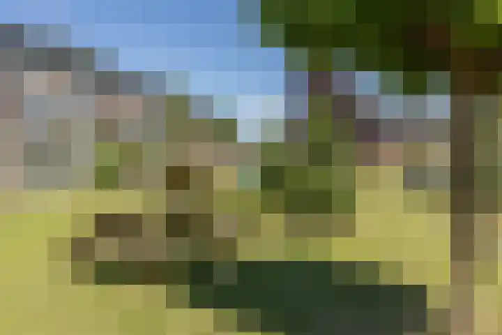 Pesetalaan 4 Amsterdam thumbnail 40