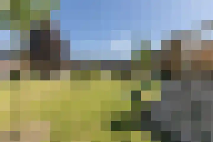 Pesetalaan 4 Amsterdam thumbnail 41