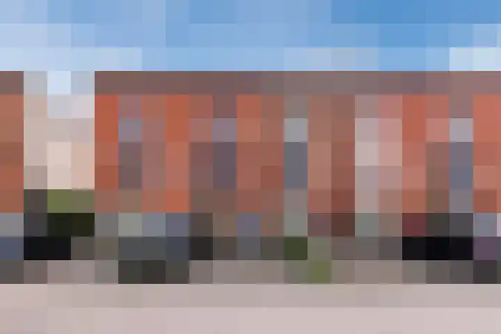 Pesetalaan 49 Amsterdam