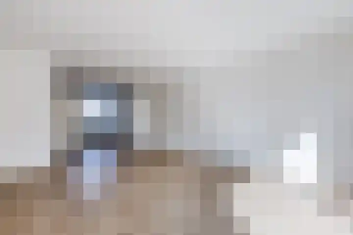 Pesetalaan 49 Amsterdam thumbnail 10