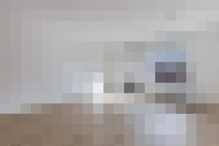 Pesetalaan 49 Amsterdam thumbnail 12