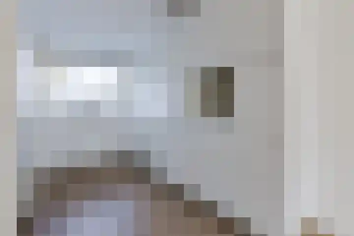 Pesetalaan 49 Amsterdam thumbnail 13