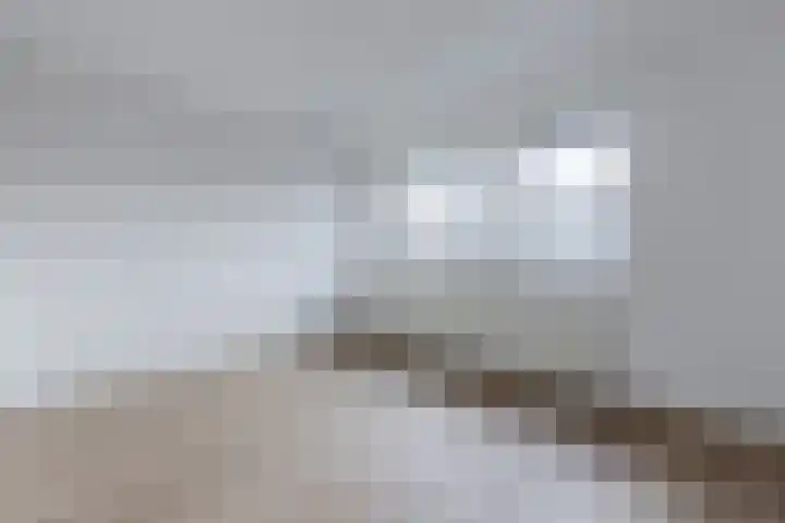 Pesetalaan 49 Amsterdam thumbnail 17