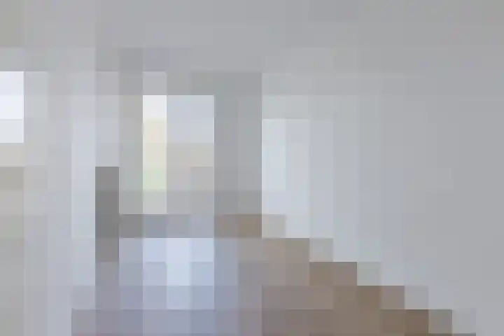 Pesetalaan 49 Amsterdam thumbnail 19