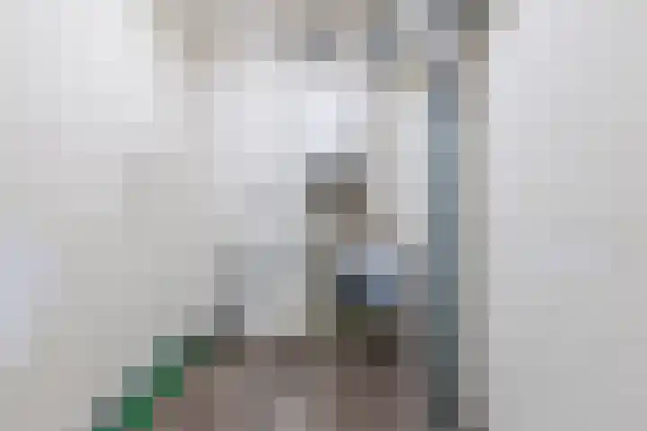 Pesetalaan 49 Amsterdam thumbnail 22
