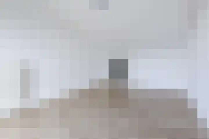 Pesetalaan 49 Amsterdam thumbnail 28