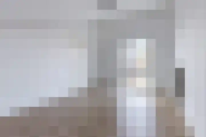 Pesetalaan 49 Amsterdam thumbnail 29