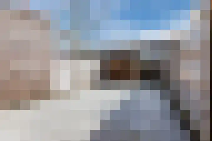 Pesetalaan 49 Amsterdam thumbnail 31