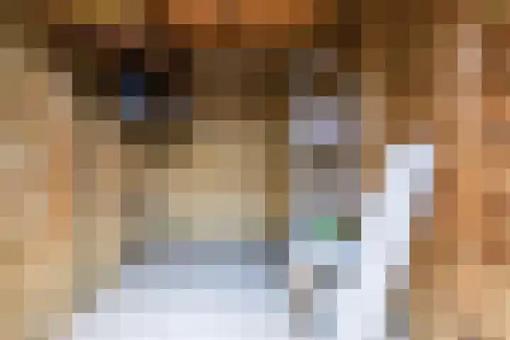 Pesetalaan 49 Amsterdam thumbnail 34