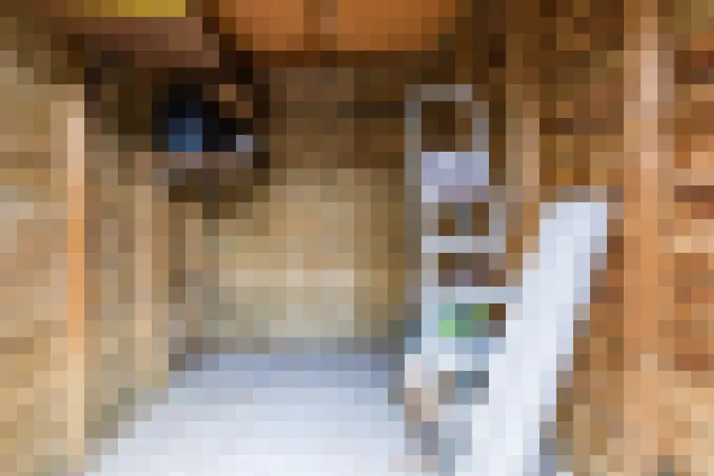 Pesetalaan 49 Amsterdam thumbnail 34