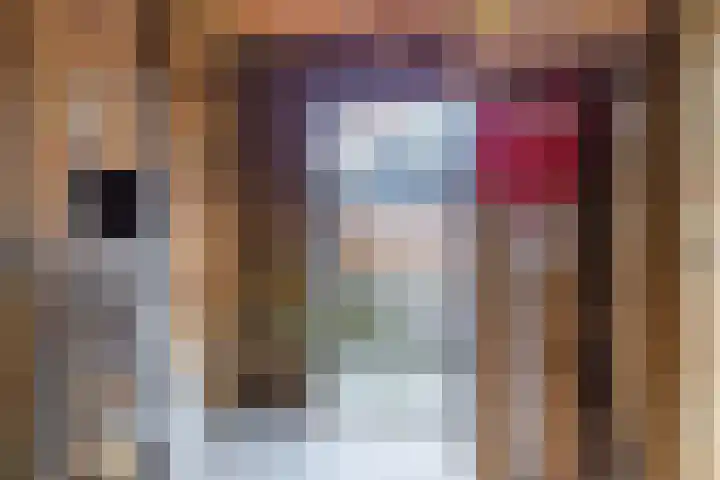 Pesetalaan 49 Amsterdam thumbnail 35