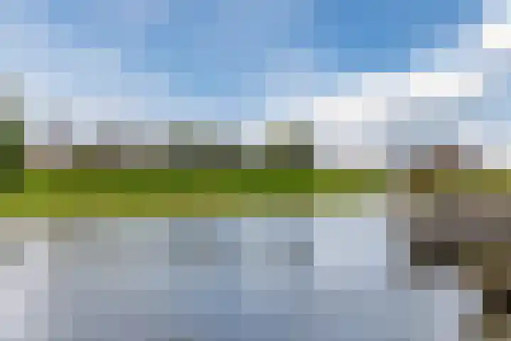 Pesetalaan 49 Amsterdam thumbnail 37