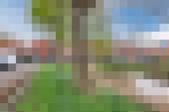 Pesetalaan 49 Amsterdam thumbnail 38