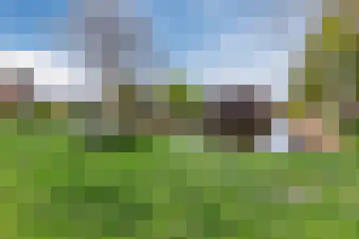Pesetalaan 49 Amsterdam thumbnail 39