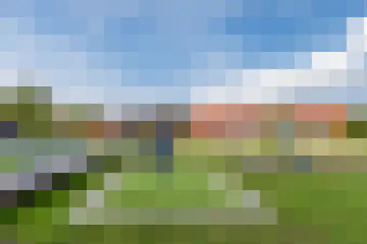 Pesetalaan 49 Amsterdam thumbnail 40