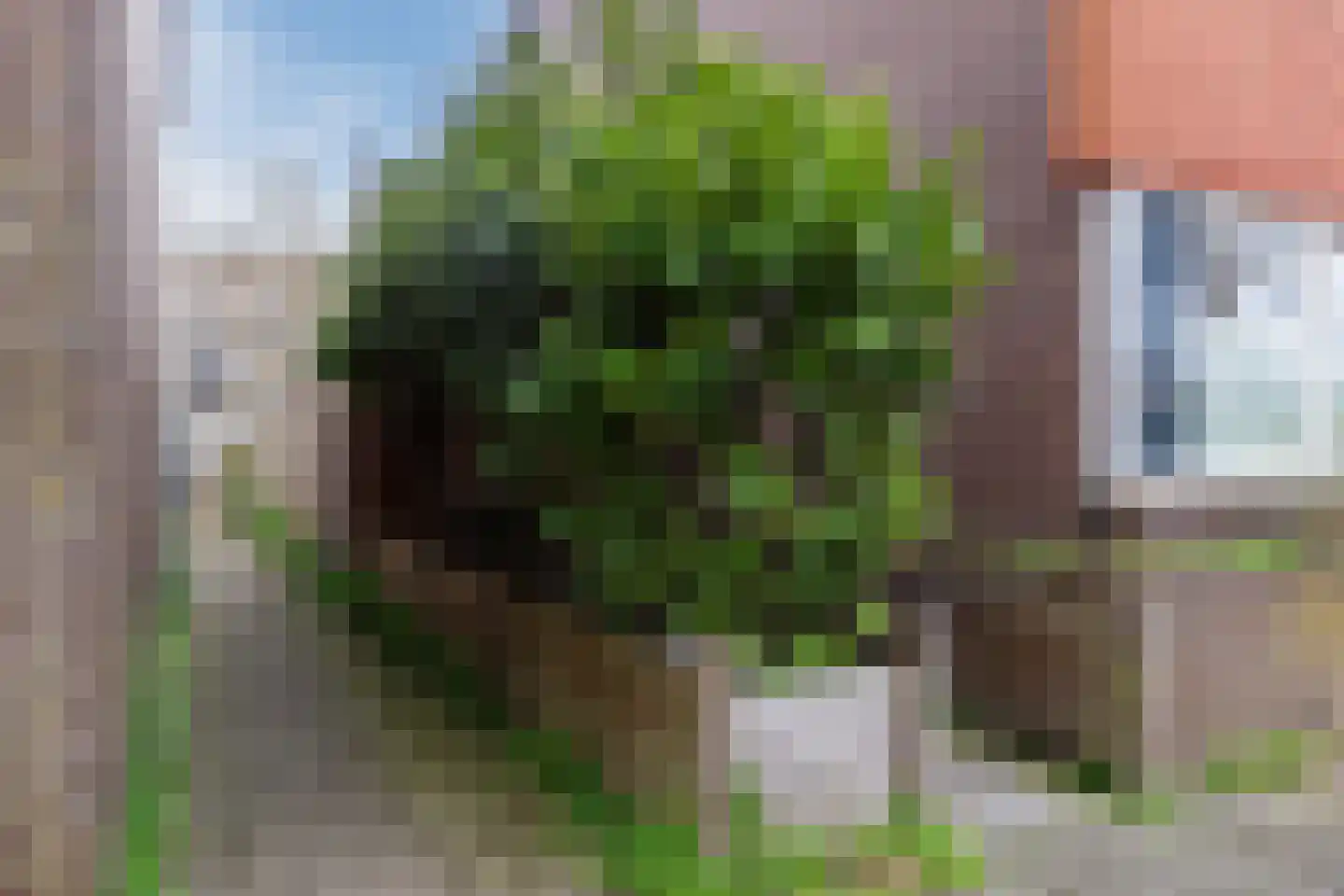 Pesetalaan 49 Amsterdam thumbnail 6
