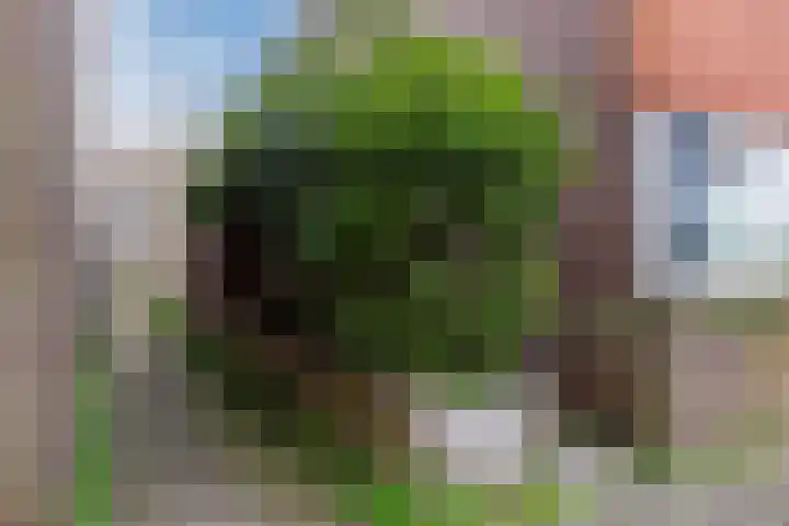 Pesetalaan 49 Amsterdam thumbnail 6