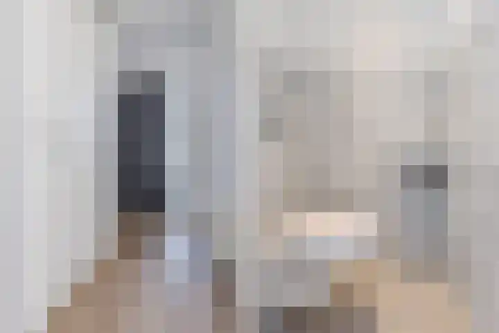 Pesetalaan 49 Amsterdam thumbnail 9