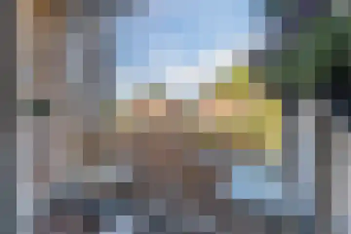 Pessershof 47 Geldrop thumbnail 10