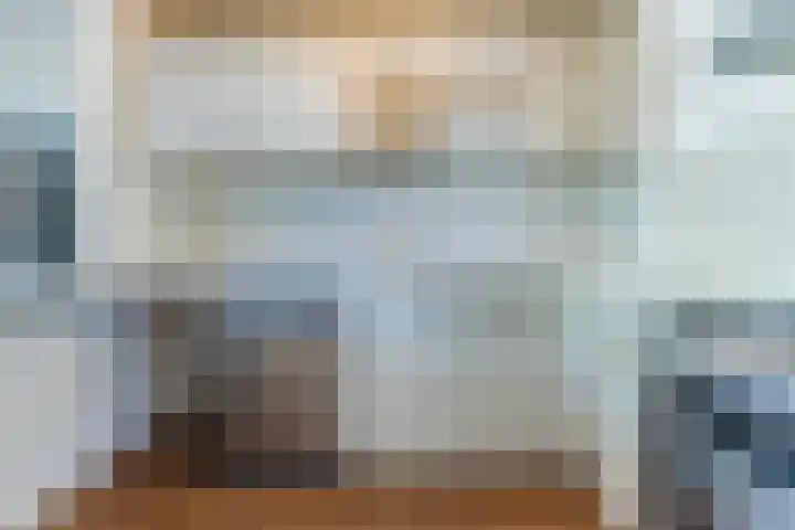 Pessershof 47 Geldrop thumbnail 11