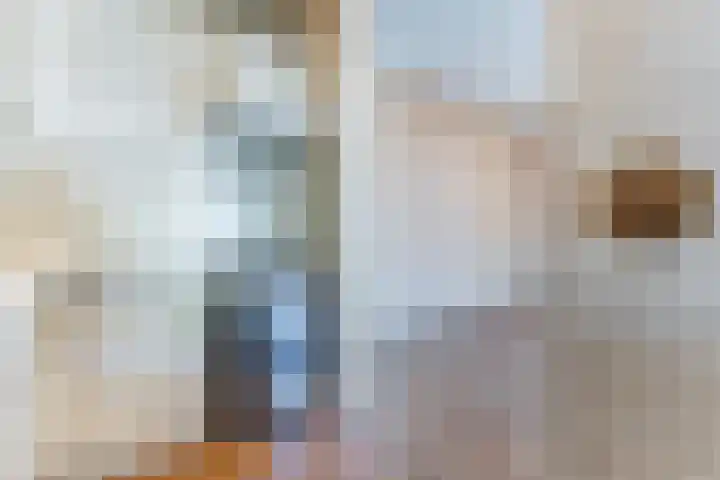 Pessershof 47 Geldrop thumbnail 13