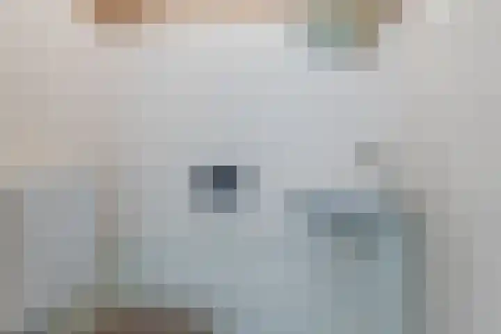 Pessershof 47 Geldrop thumbnail 14