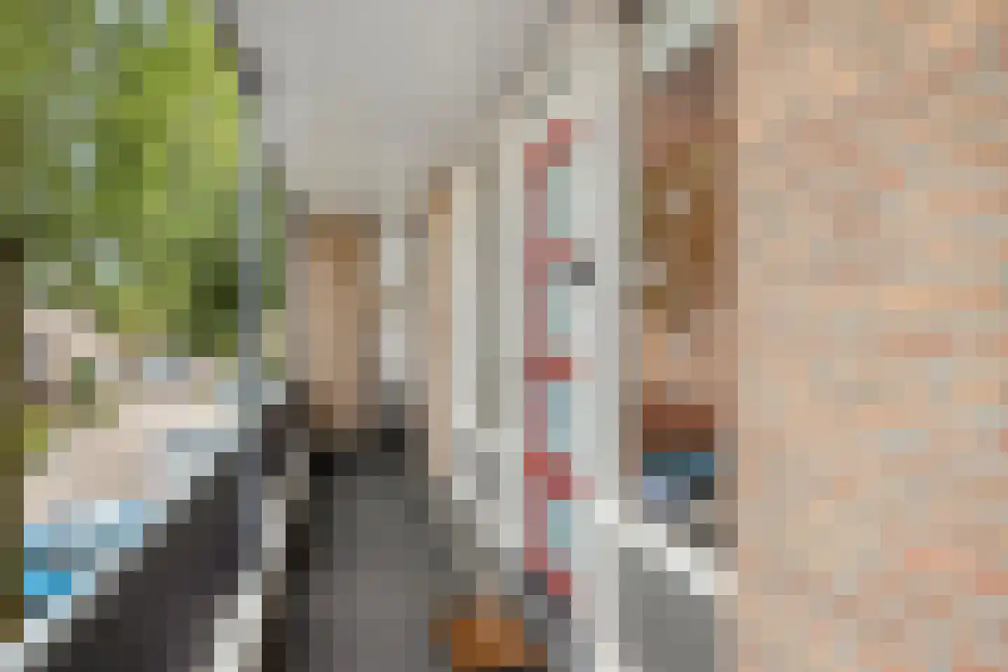 Pessershof 47 Geldrop thumbnail 16