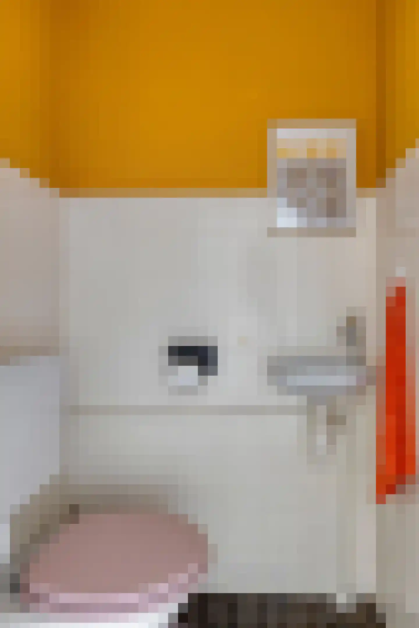 Pessershof 47 Geldrop thumbnail 17