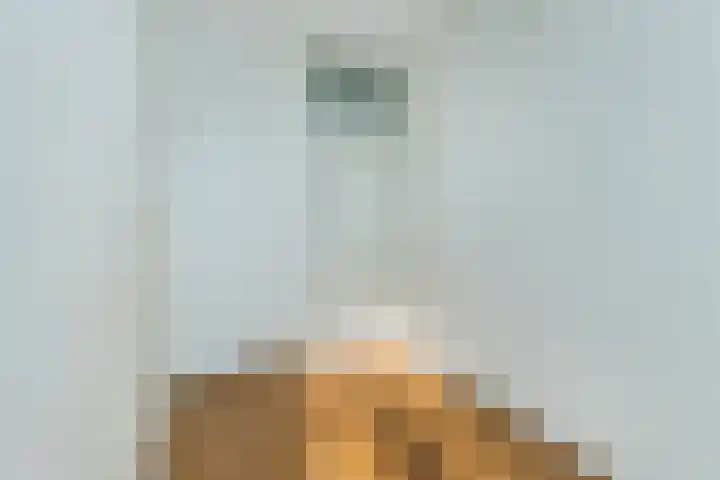 Pessershof 47 Geldrop thumbnail 18