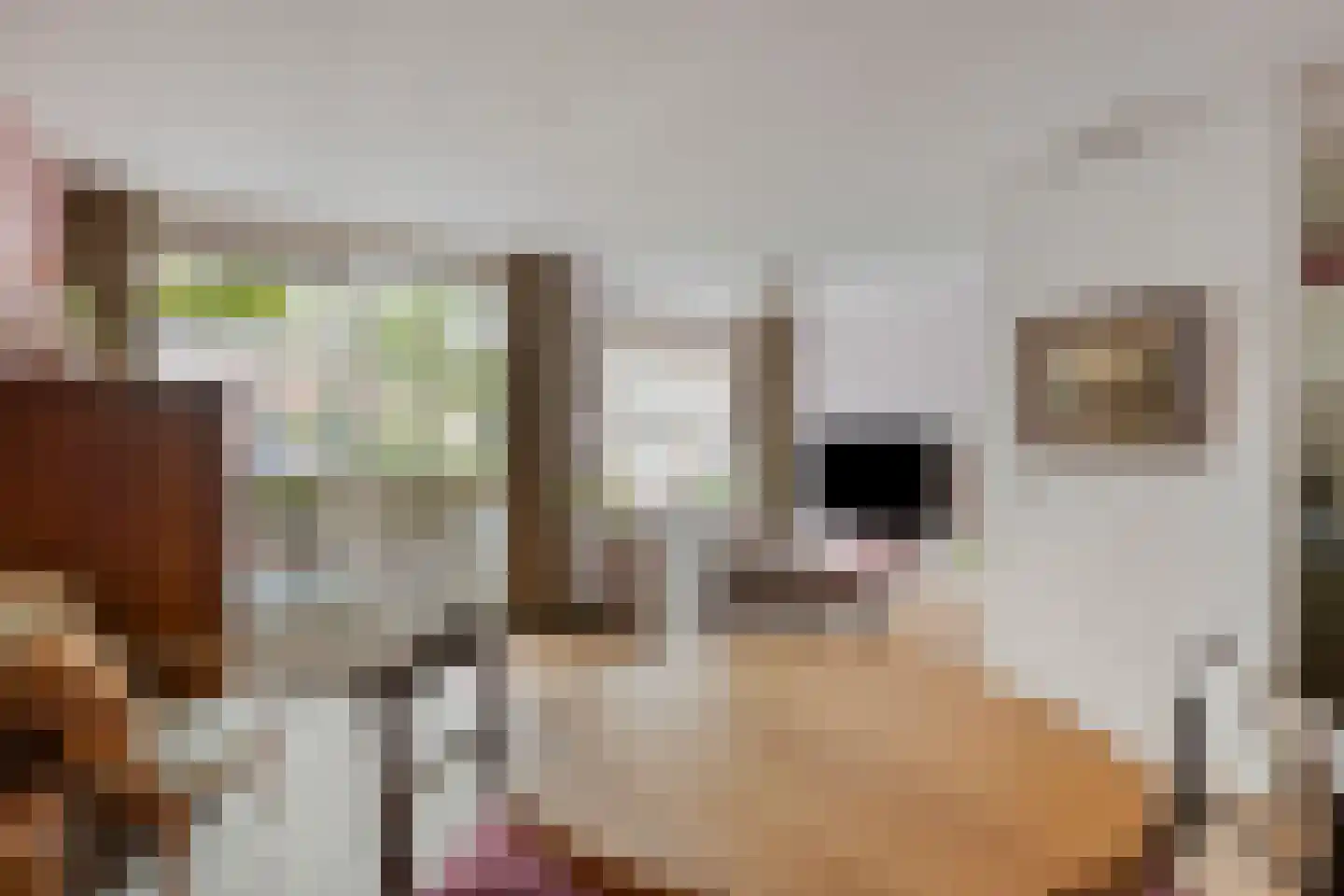 Pessershof 47 Geldrop thumbnail 19