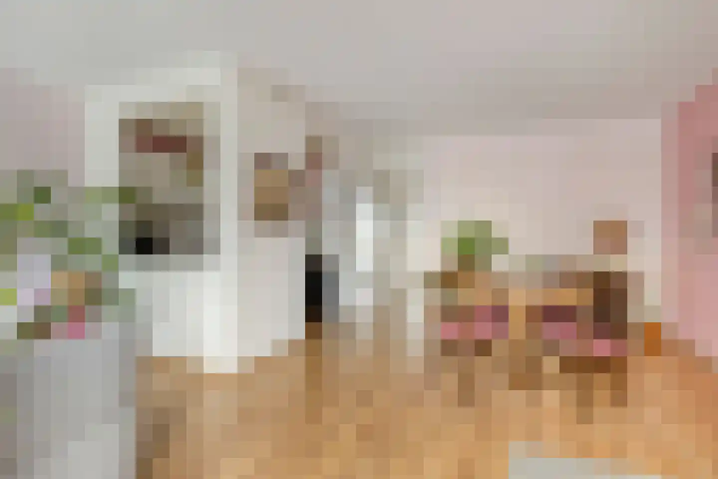 Pessershof 47 Geldrop thumbnail 20