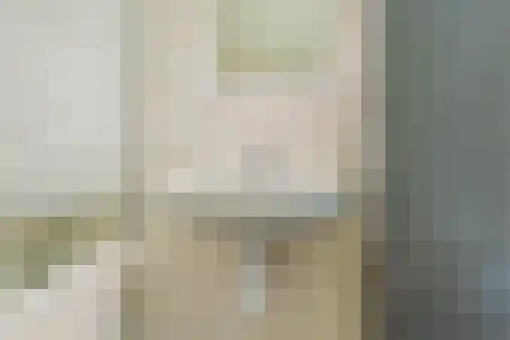 Pessershof 47 Geldrop thumbnail 22
