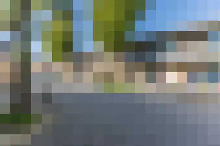 Pessershof 47 Geldrop thumbnail 24