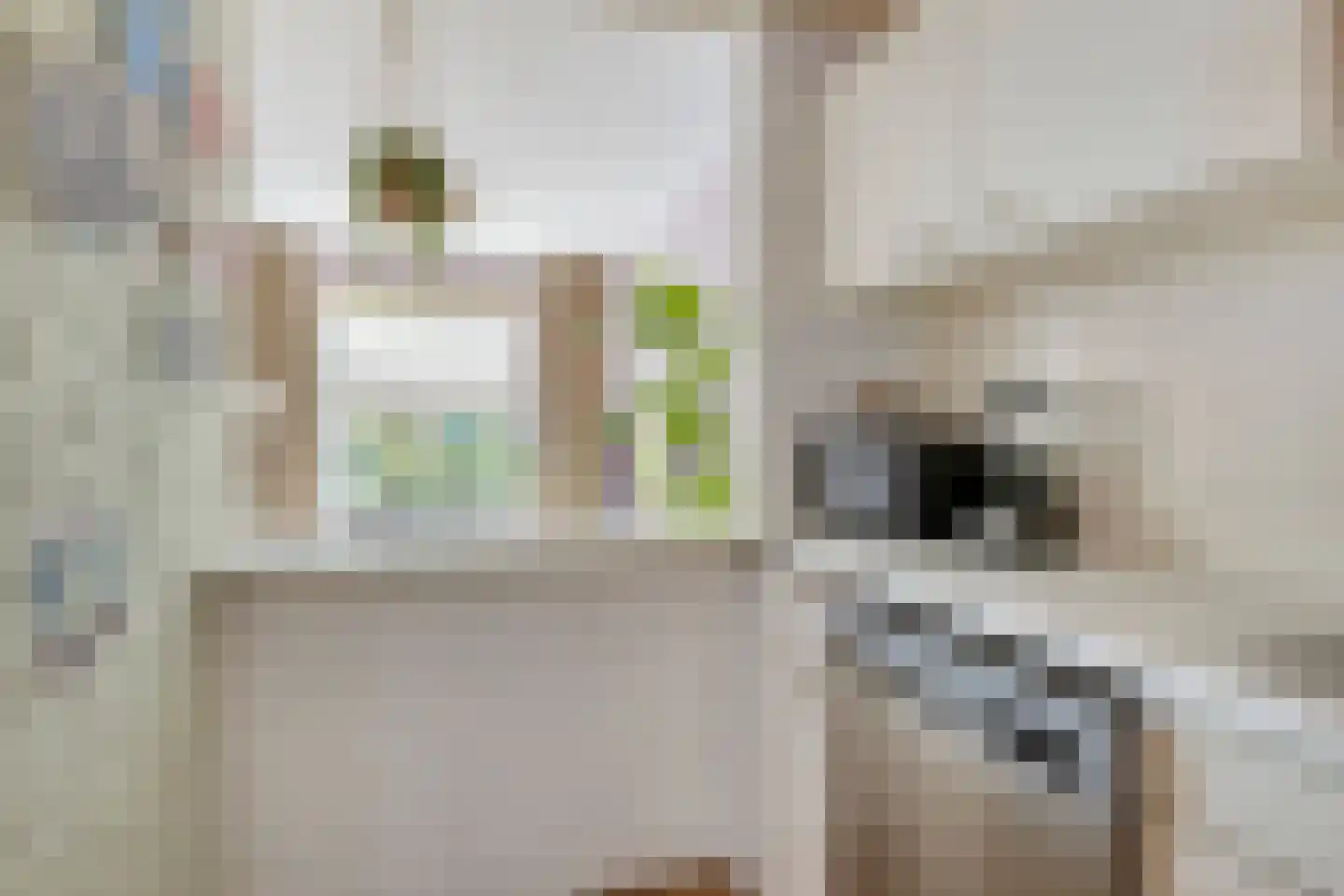 Pessershof 47 Geldrop thumbnail 24