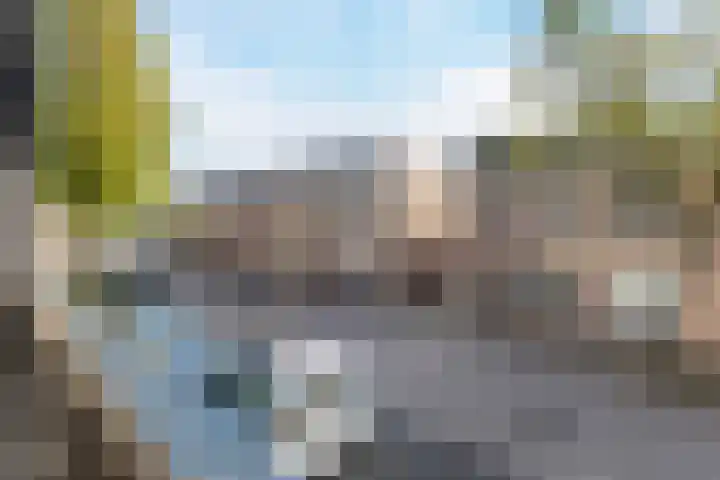 Pessershof 47 Geldrop thumbnail 25