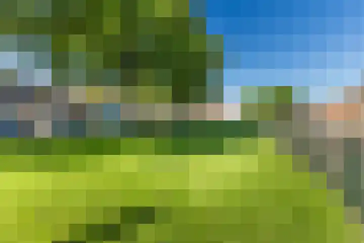 Pessershof 47 Geldrop thumbnail 26