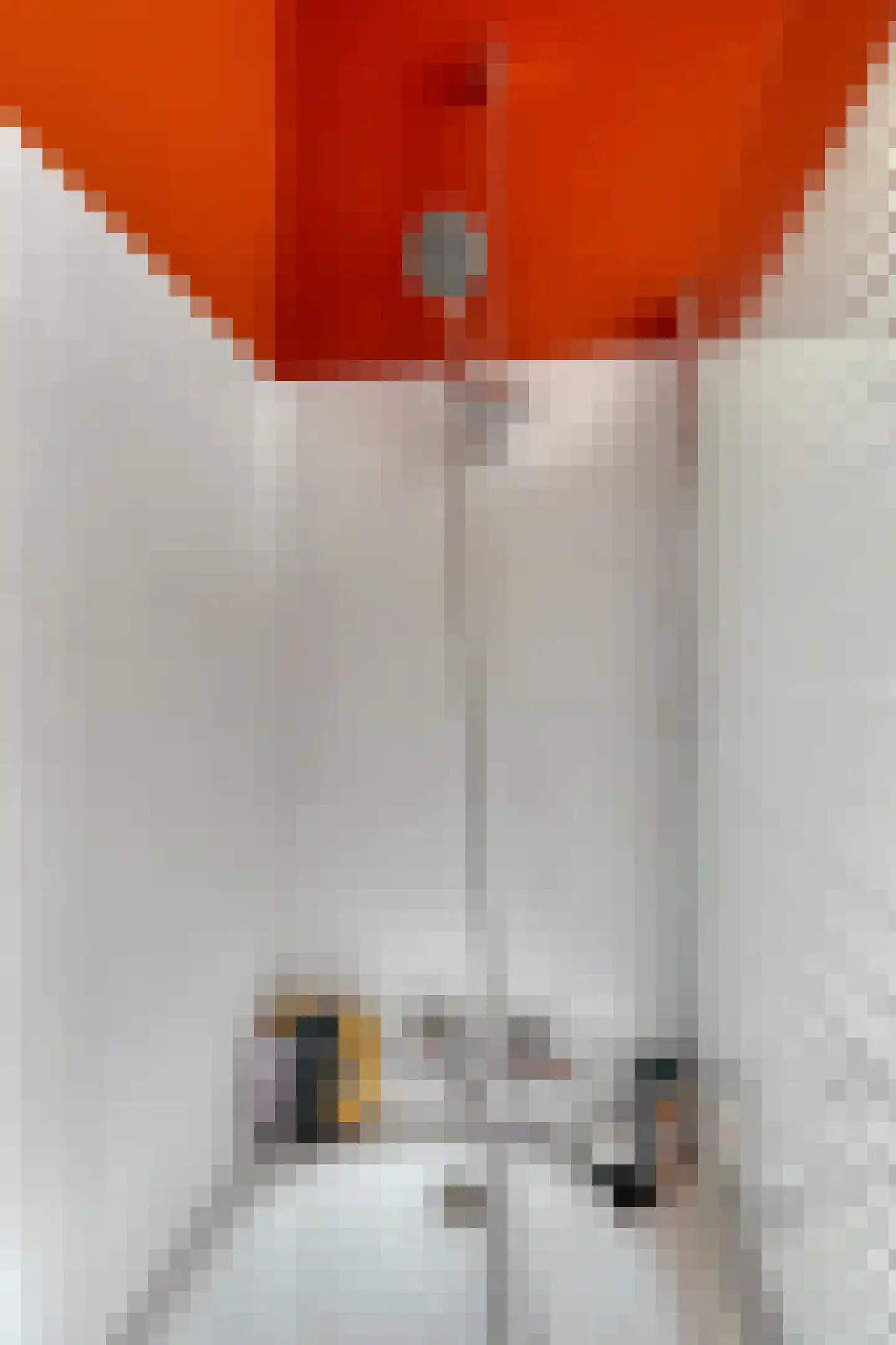Pessershof 47 Geldrop thumbnail 27