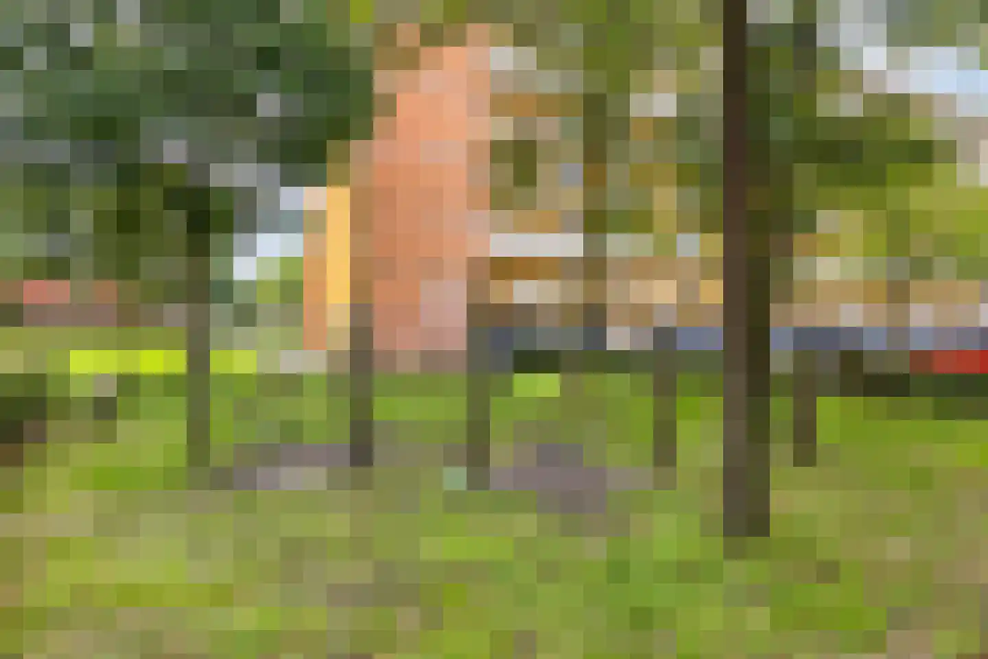 Pessershof 47 Geldrop thumbnail 32