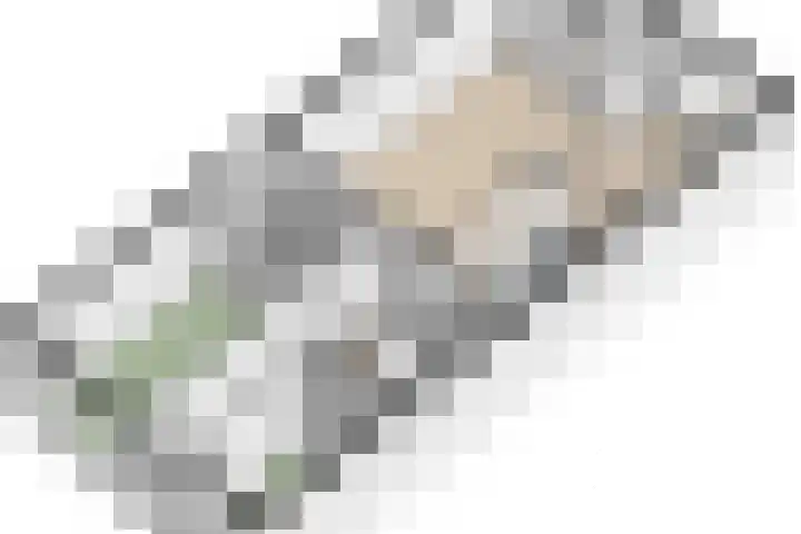 Pessershof 47 Geldrop thumbnail 32