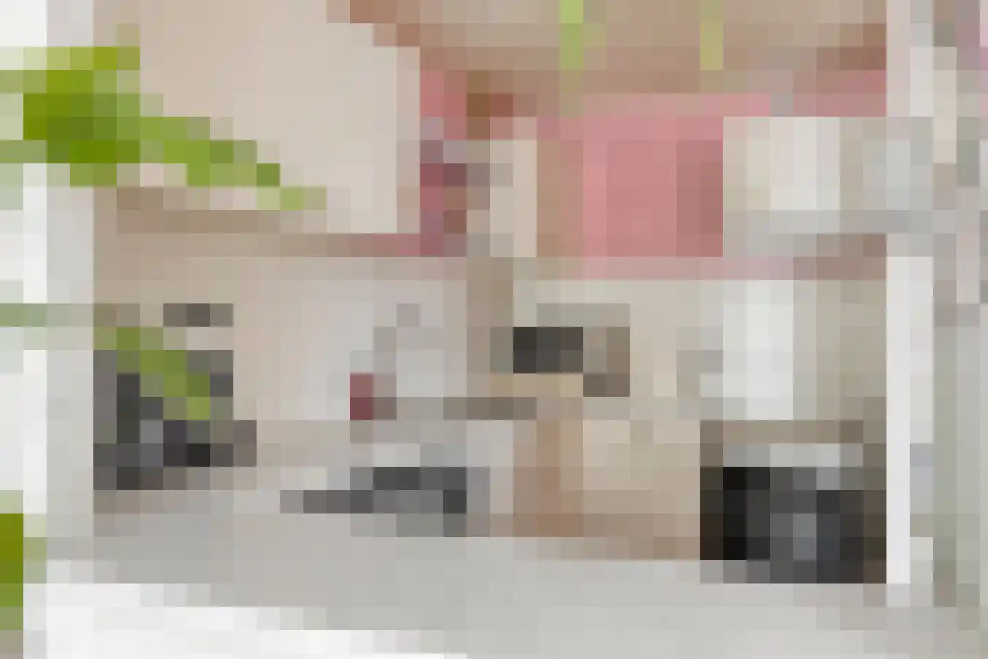 Pessershof 47 Geldrop thumbnail 5