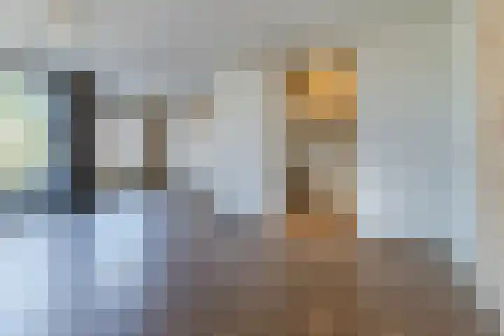 Pessershof 47 Geldrop thumbnail 6
