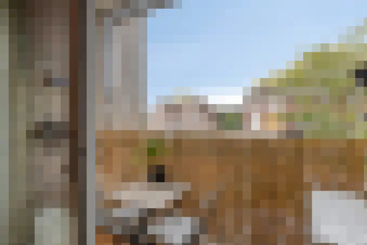 Pessershof 47 Geldrop thumbnail 8